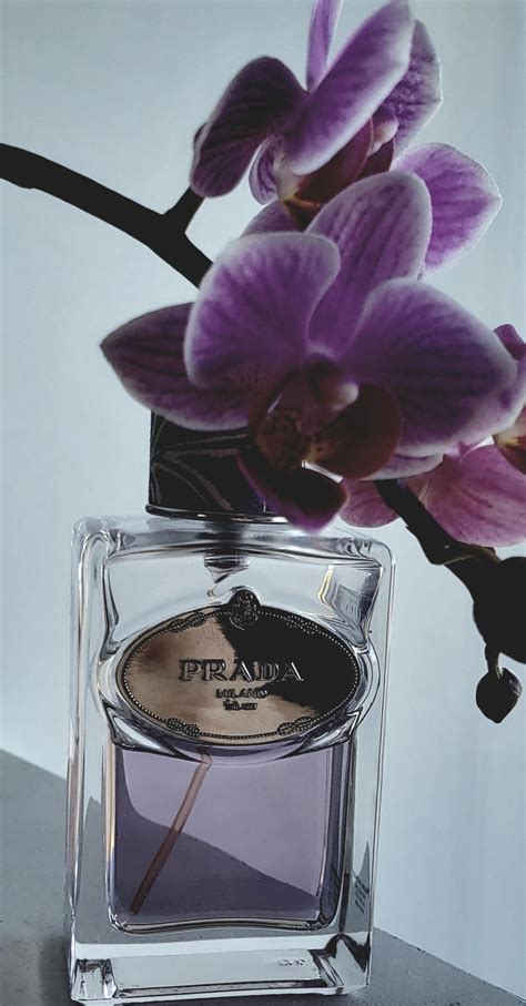 Infusion de Tubereuse Prada pour femme 